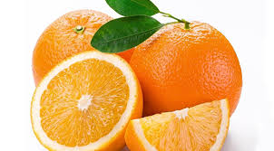 Image result for florida orange